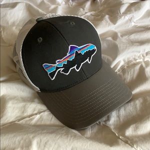 Patagonia trucker hat